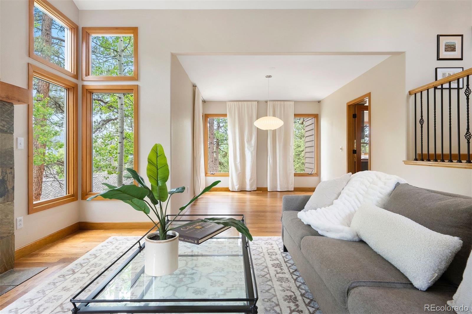 MLS Image #5 for 29962  troutdale ridge road,evergreen, Colorado