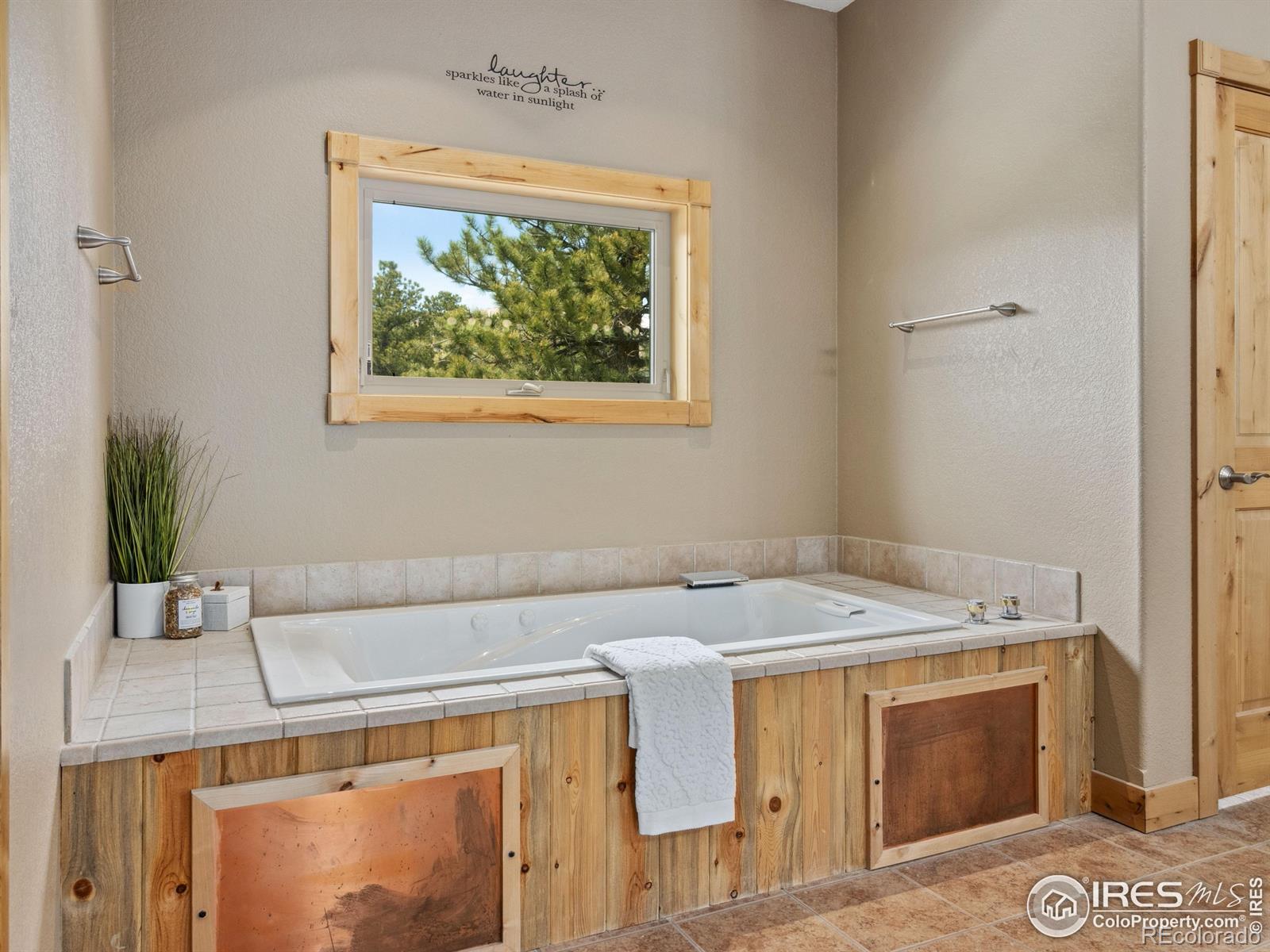 MLS Image #10 for 557  grand estates drive,estes park, Colorado