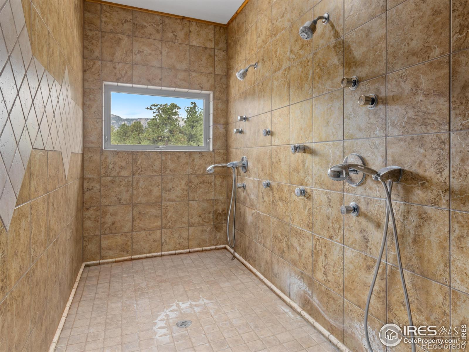 MLS Image #19 for 557  grand estates drive,estes park, Colorado
