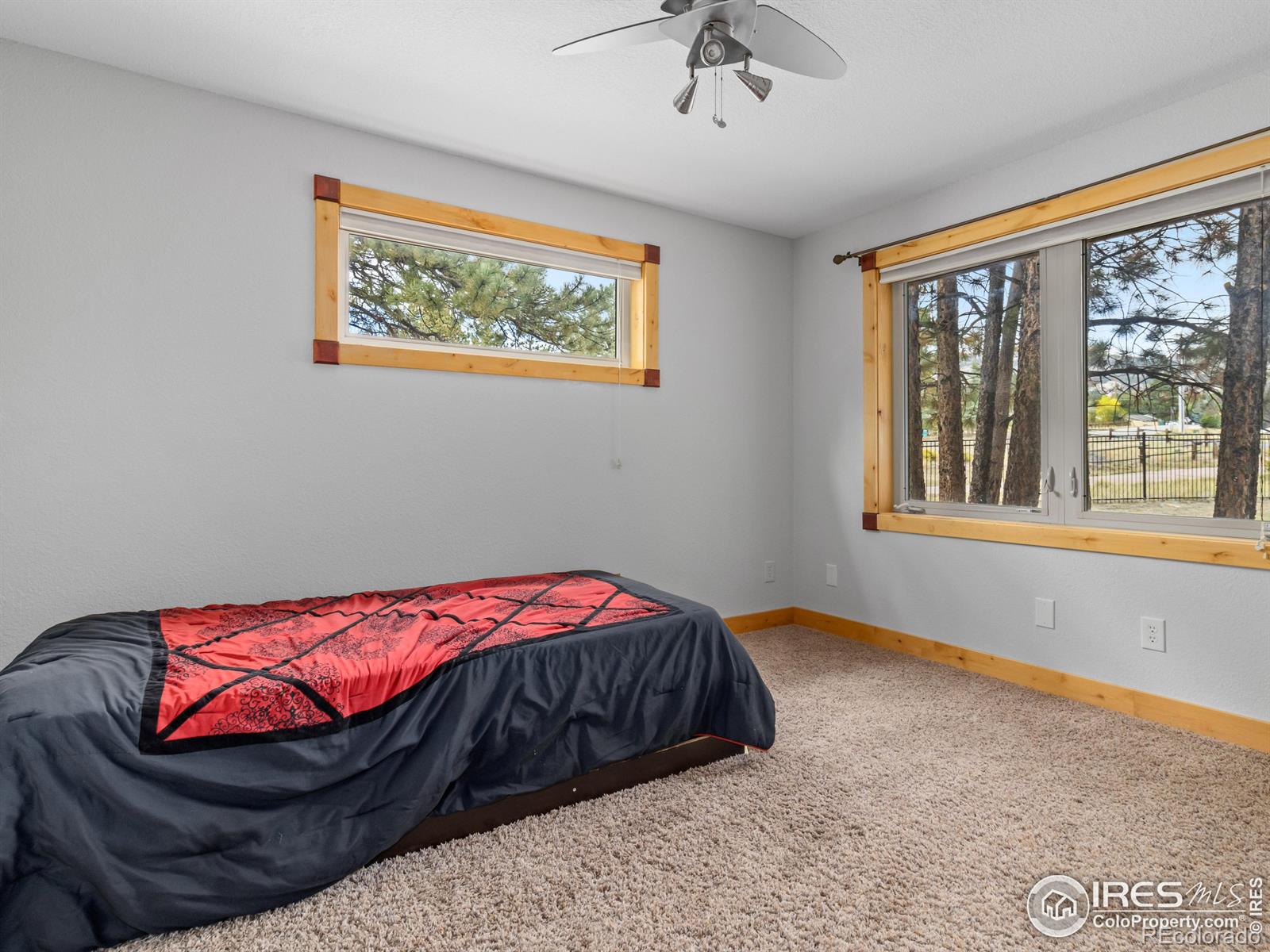 MLS Image #30 for 557  grand estates drive,estes park, Colorado
