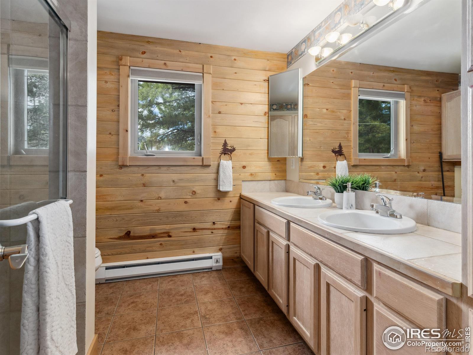 MLS Image #35 for 557  grand estates drive,estes park, Colorado