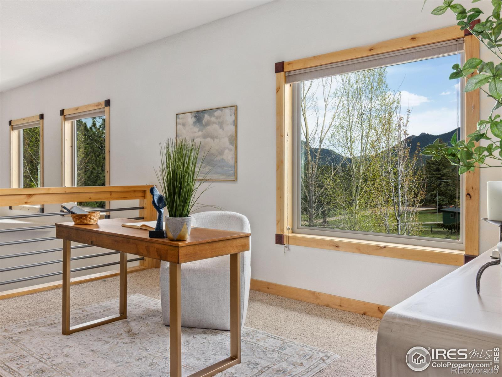 MLS Image #6 for 557  grand estates drive,estes park, Colorado