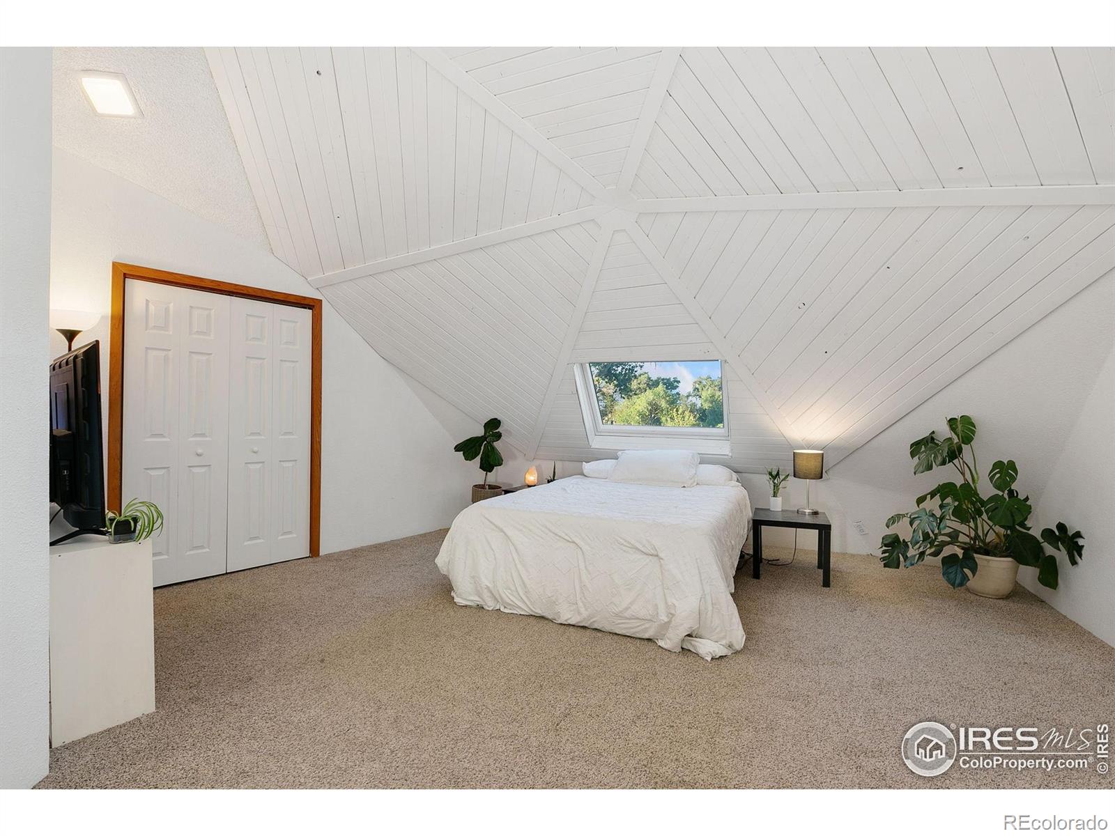 MLS Image #22 for 8402  dome court,fort collins, Colorado
