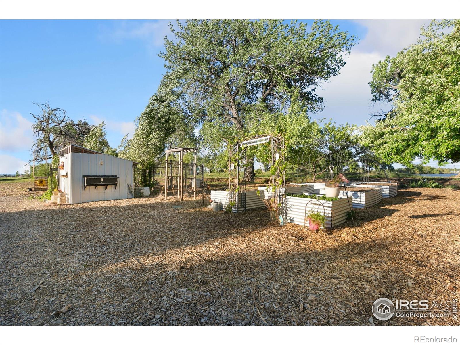 MLS Image #36 for 8402  dome court,fort collins, Colorado