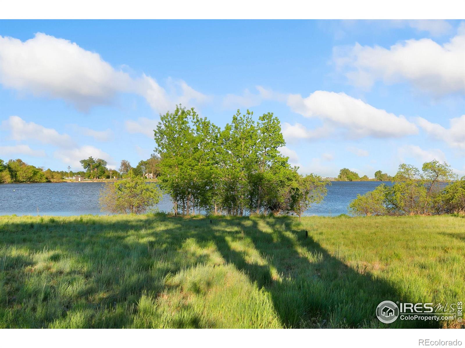 MLS Image #38 for 8402  dome court,fort collins, Colorado