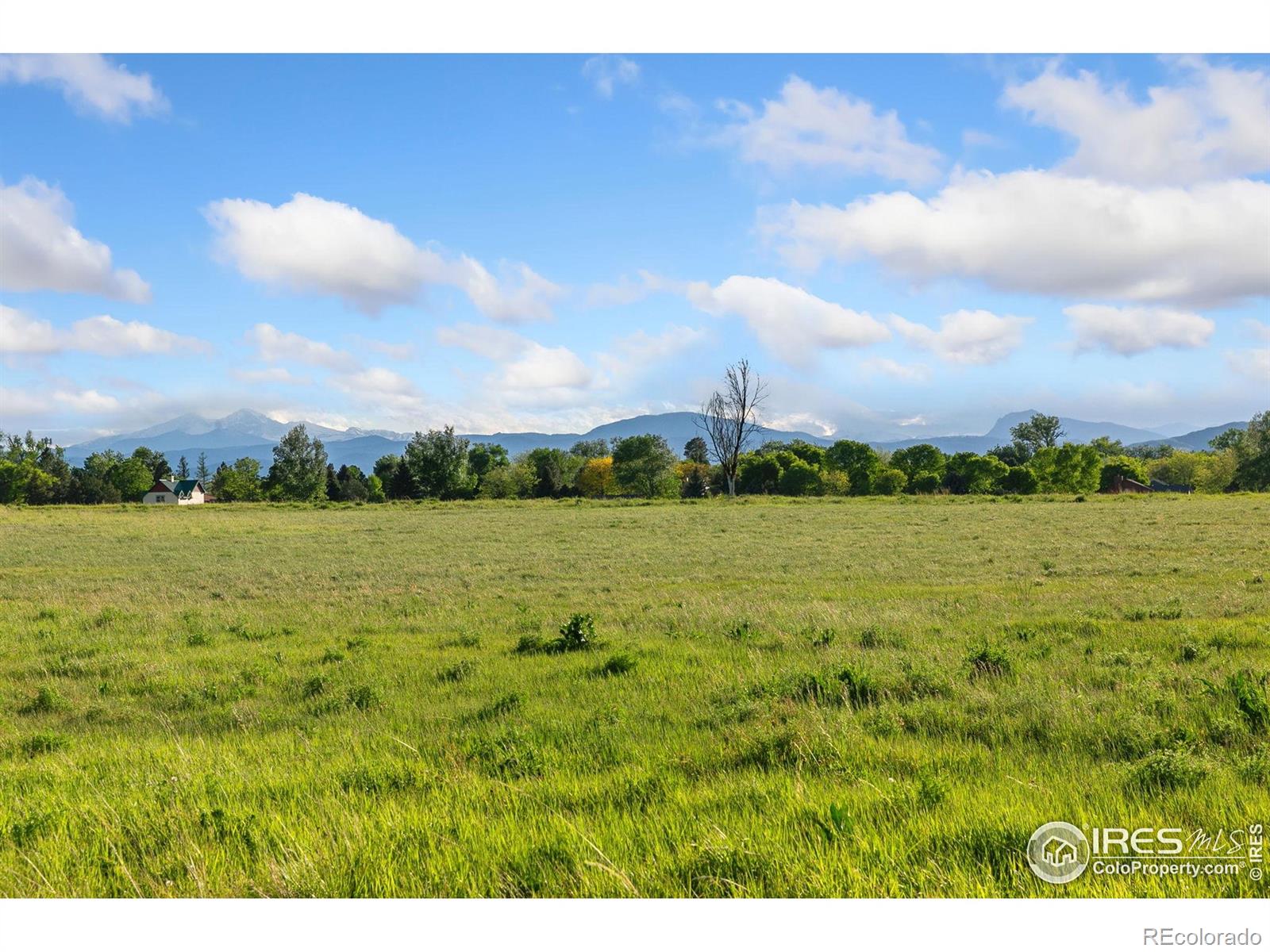 MLS Image #39 for 8402  dome court,fort collins, Colorado