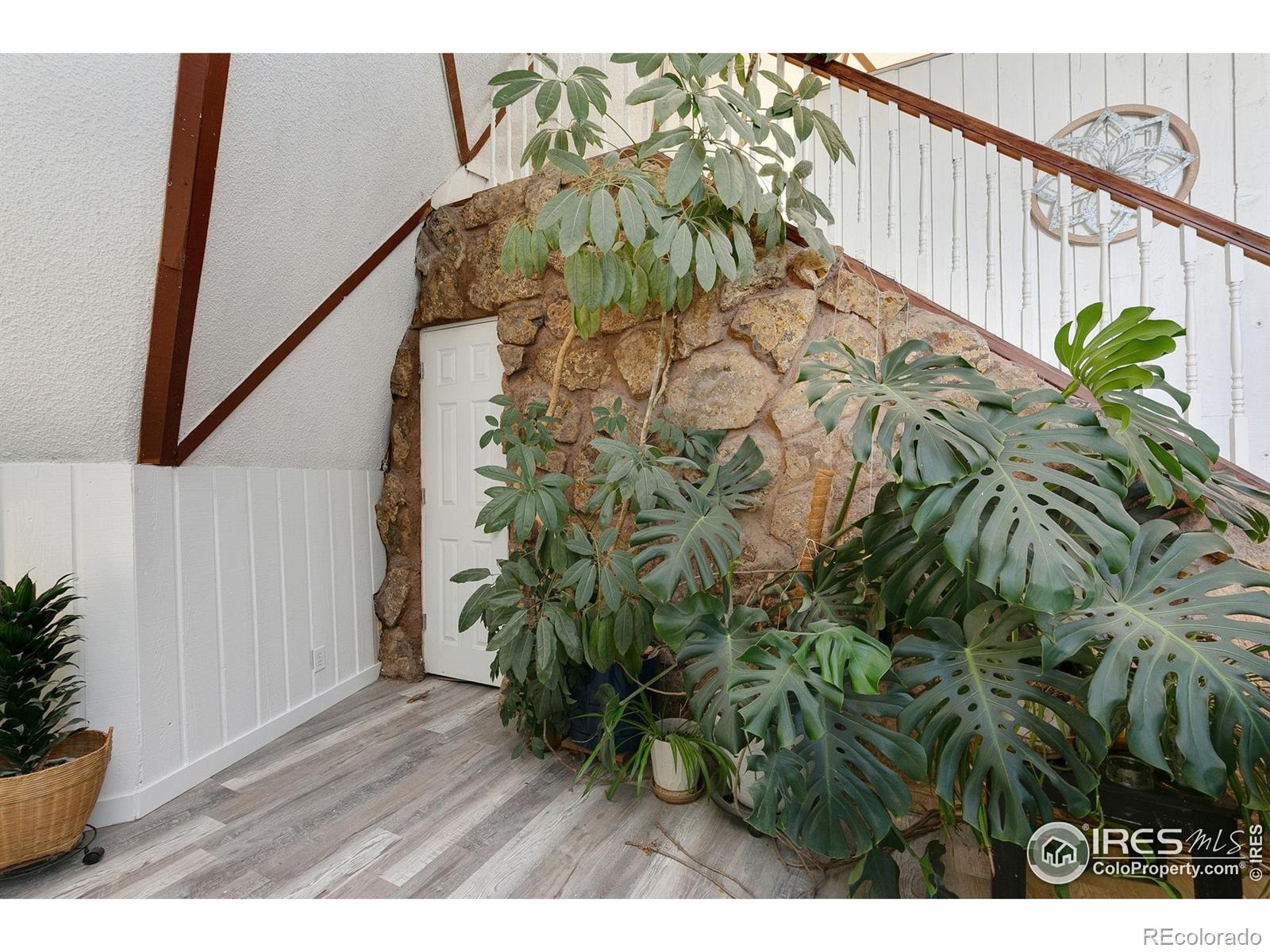 MLS Image #5 for 8402  dome court,fort collins, Colorado