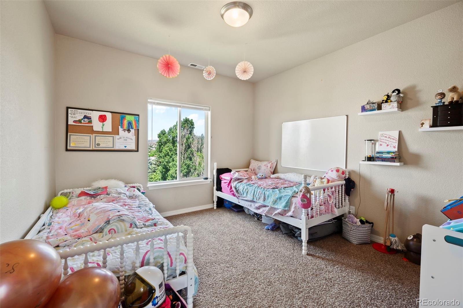 MLS Image #14 for 4855  kerry lynn view,colorado springs, Colorado
