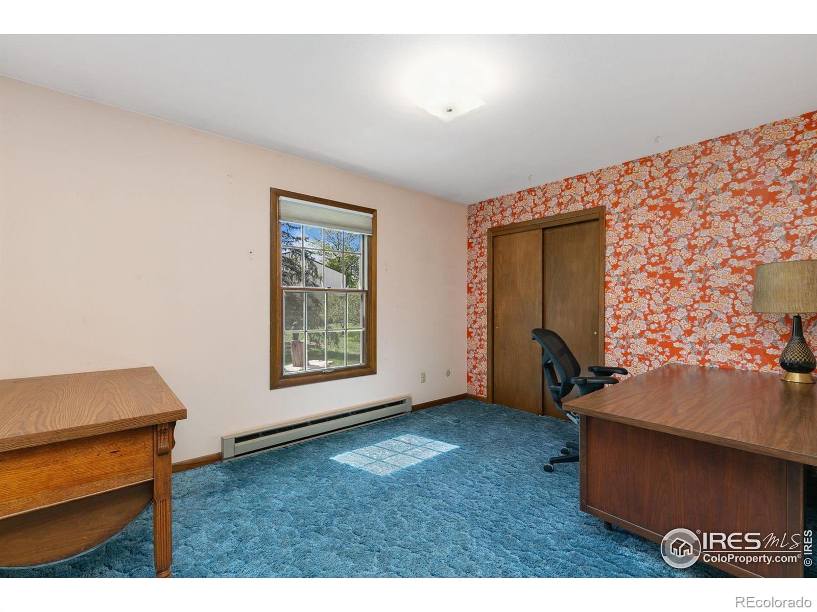 MLS Image #15 for 4321  main street,timnath, Colorado