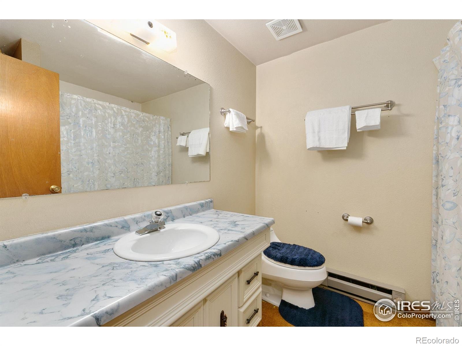 MLS Image #27 for 4321  main street,timnath, Colorado
