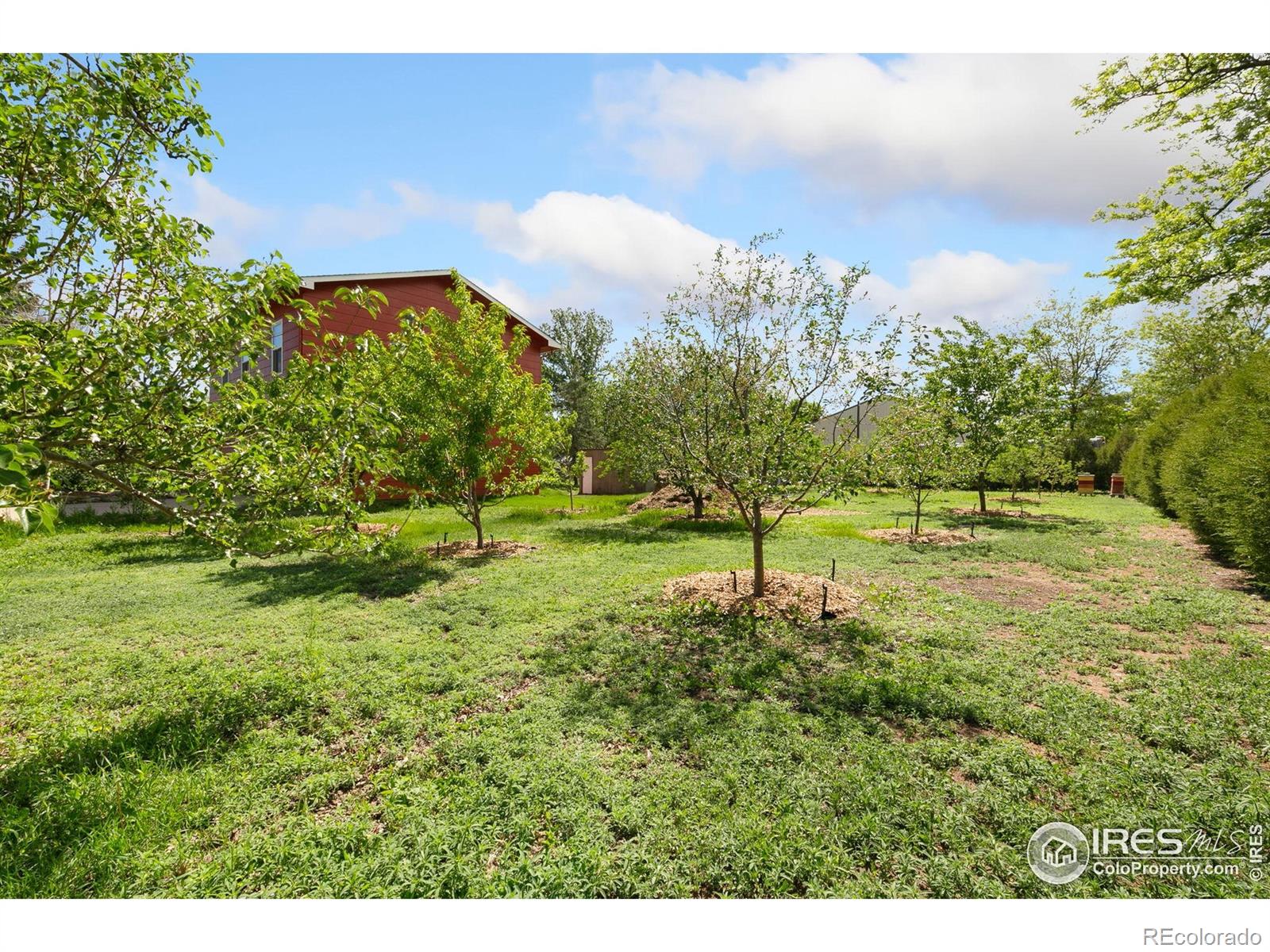 MLS Image #35 for 4321  main street,timnath, Colorado