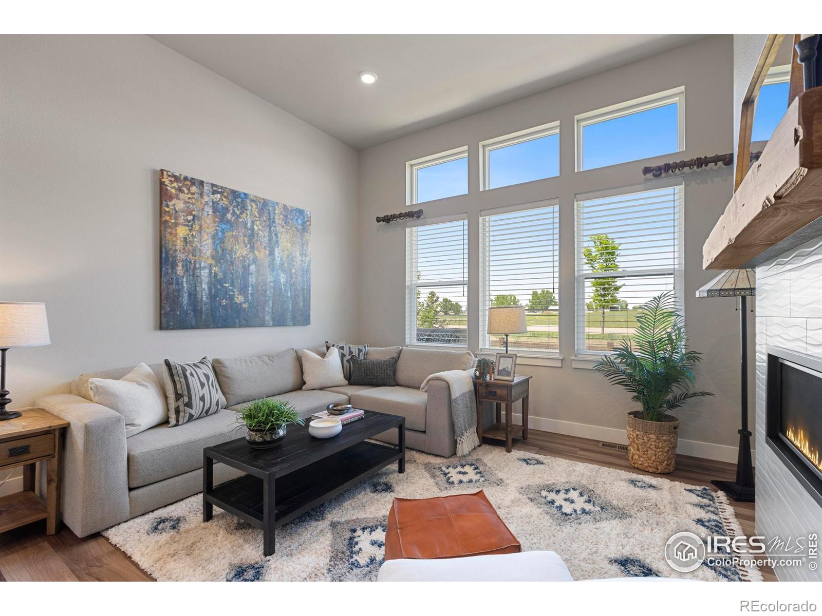 MLS Image #18 for 6752  castello street,timnath, Colorado