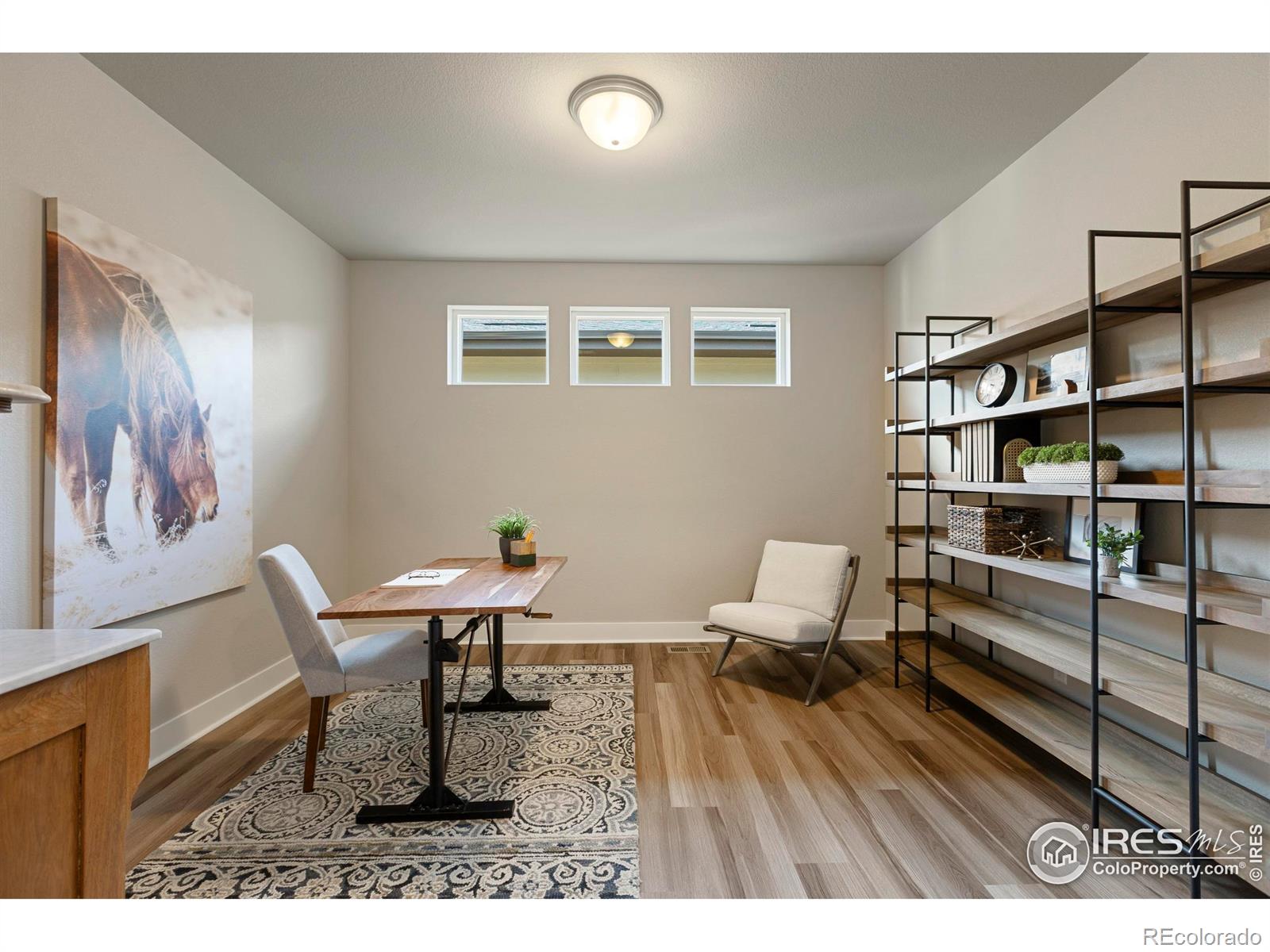 MLS Image #20 for 6752  castello street,timnath, Colorado