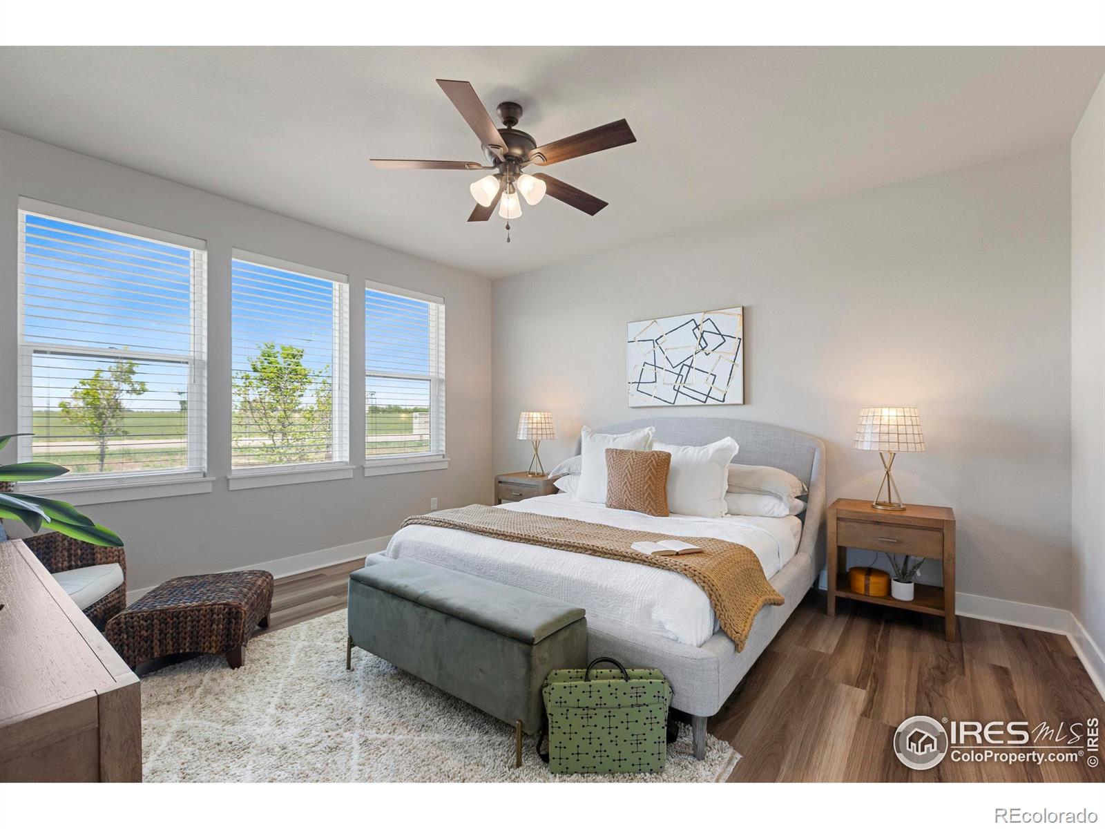 MLS Image #21 for 6752  castello street,timnath, Colorado