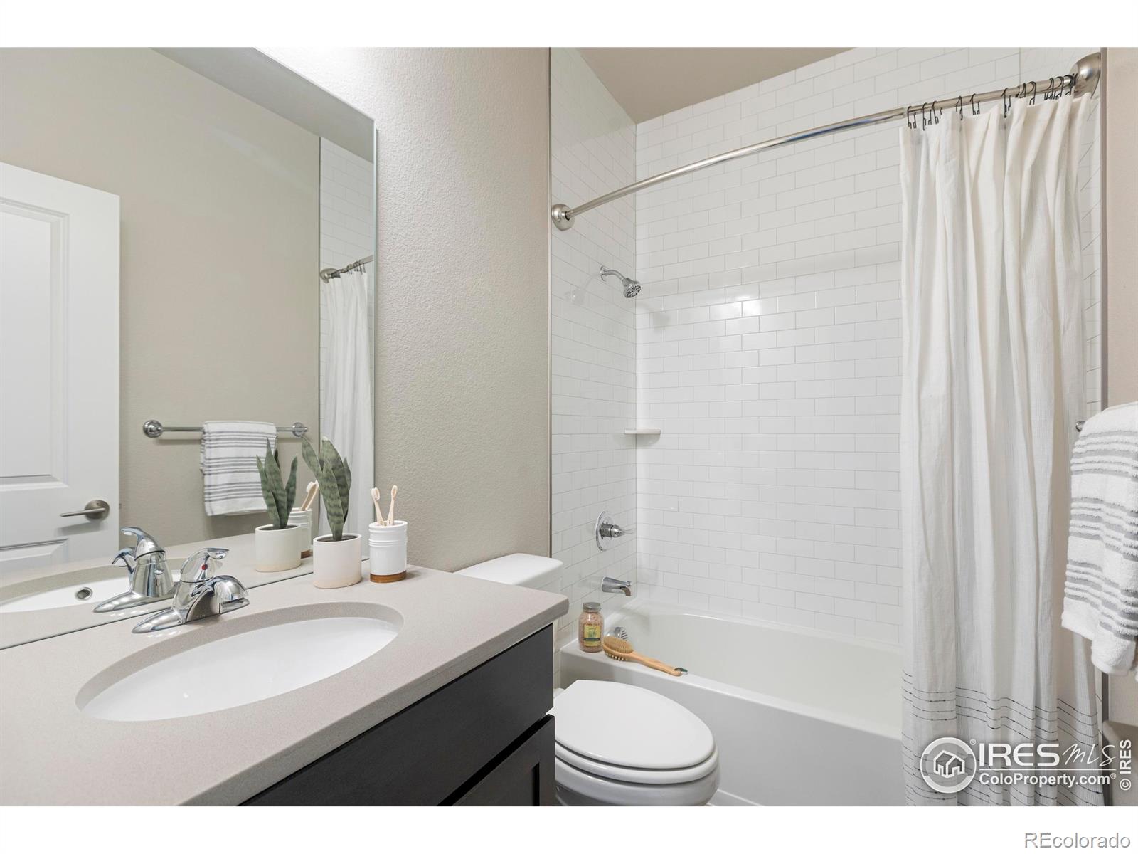 MLS Image #28 for 6752  castello street,timnath, Colorado