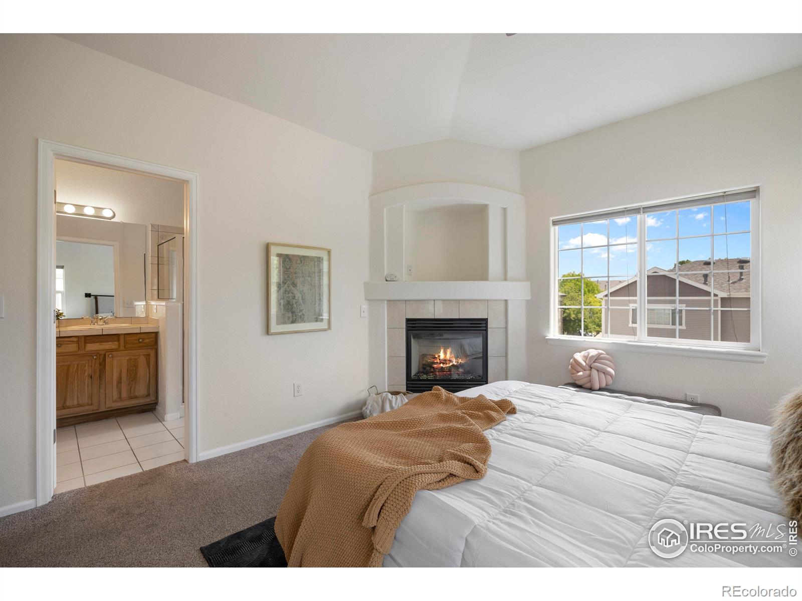 MLS Image #20 for 5026  brookfield drive,fort collins, Colorado