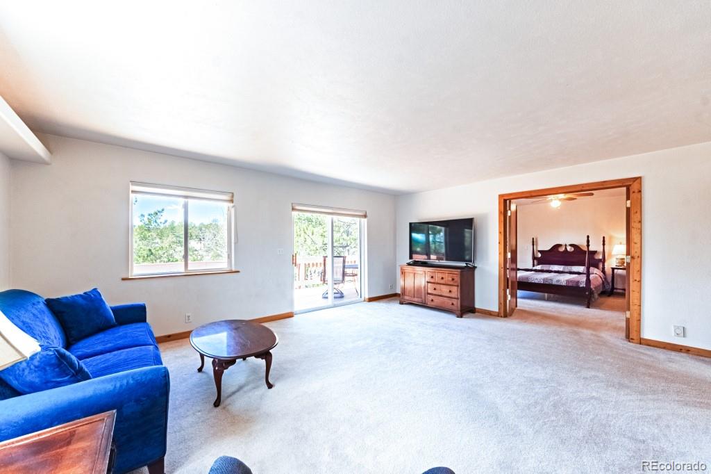 MLS Image #10 for 355  maroon lake circle,divide, Colorado