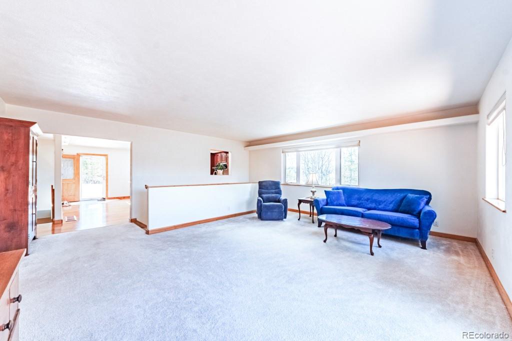 MLS Image #12 for 355  maroon lake circle,divide, Colorado