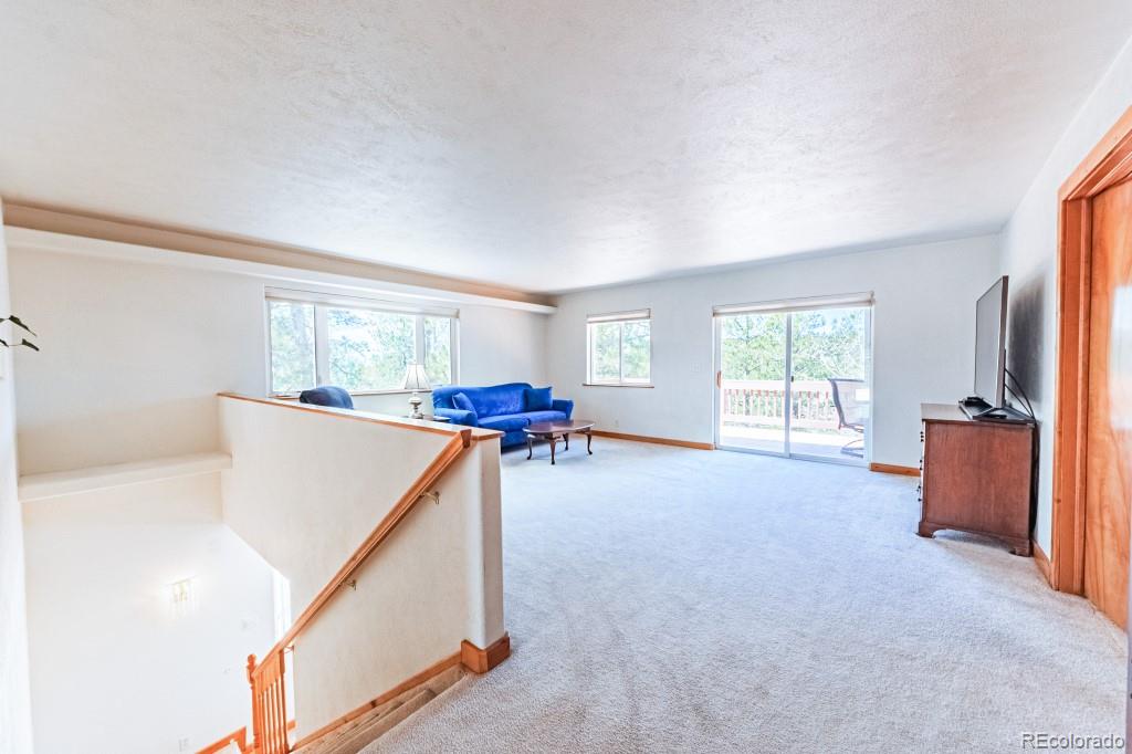 MLS Image #13 for 355  maroon lake circle,divide, Colorado