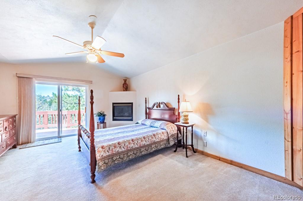 MLS Image #14 for 355  maroon lake circle,divide, Colorado
