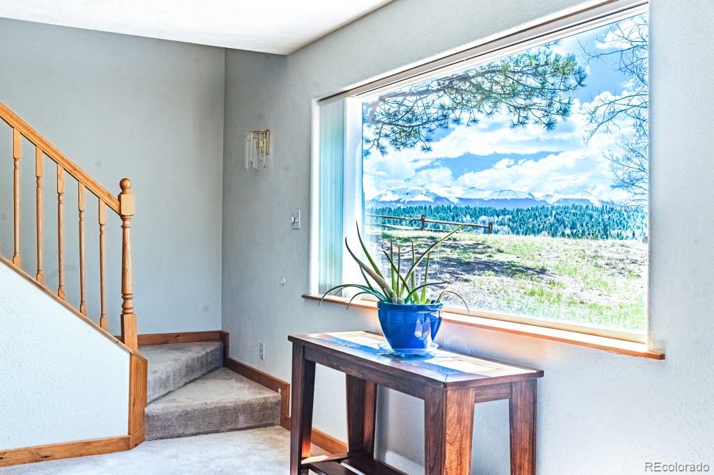 MLS Image #21 for 355  maroon lake circle,divide, Colorado