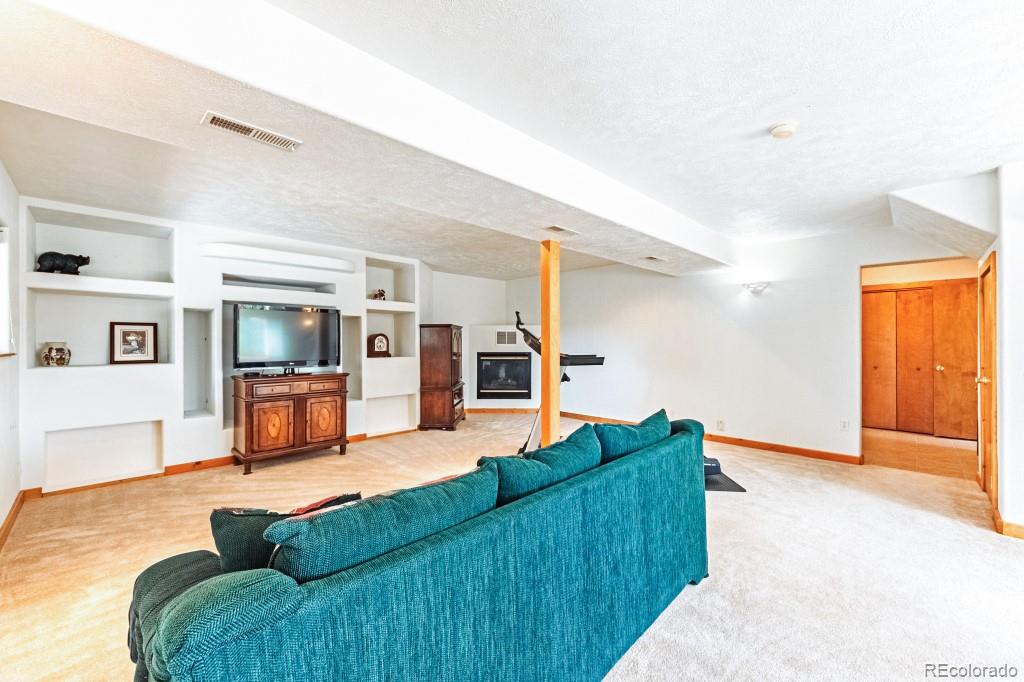 MLS Image #23 for 355  maroon lake circle,divide, Colorado