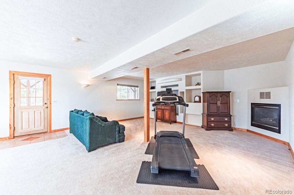 MLS Image #24 for 355  maroon lake circle,divide, Colorado
