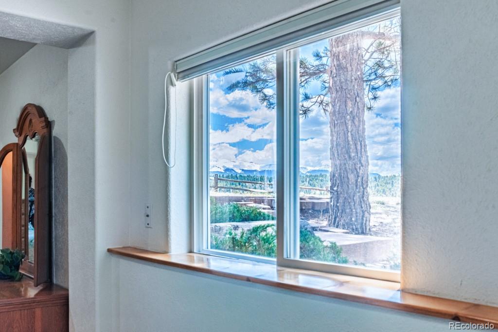 MLS Image #26 for 355  maroon lake circle,divide, Colorado