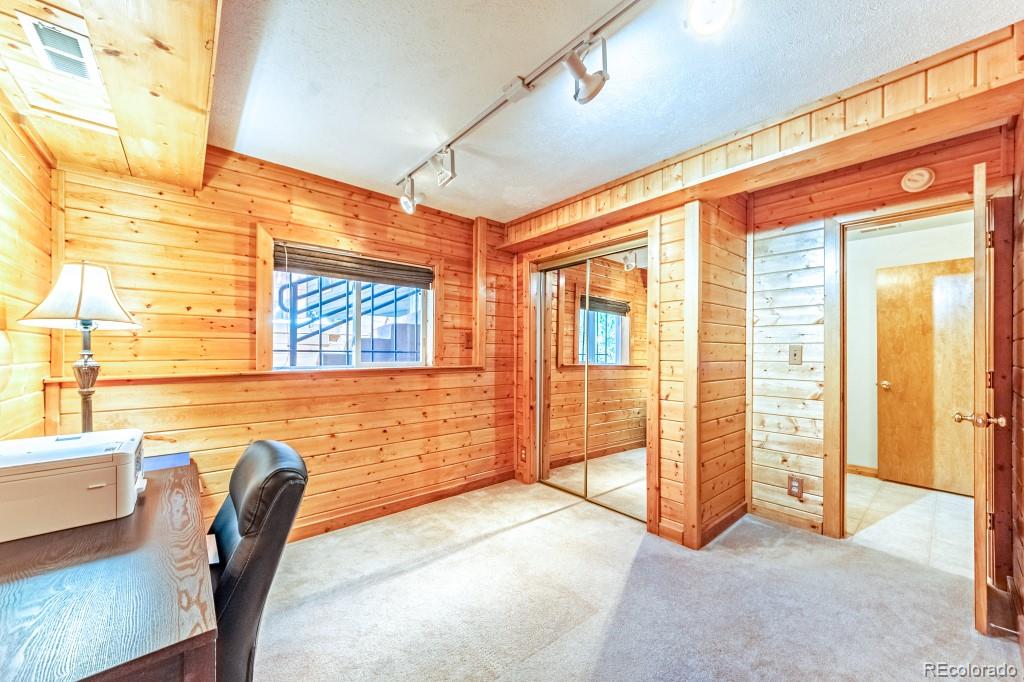 MLS Image #28 for 355  maroon lake circle,divide, Colorado