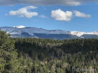 MLS Image #3 for 355  maroon lake circle,divide, Colorado