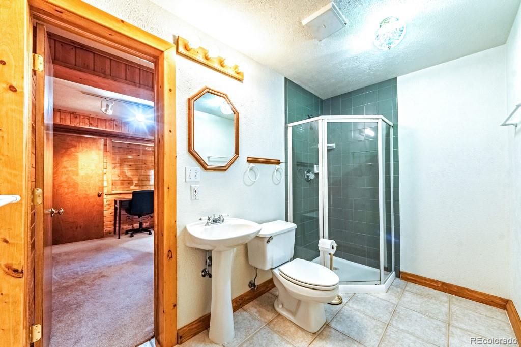 MLS Image #30 for 355  maroon lake circle,divide, Colorado