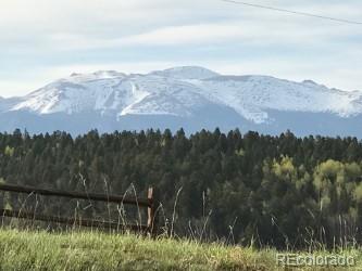 MLS Image #4 for 355  maroon lake circle,divide, Colorado