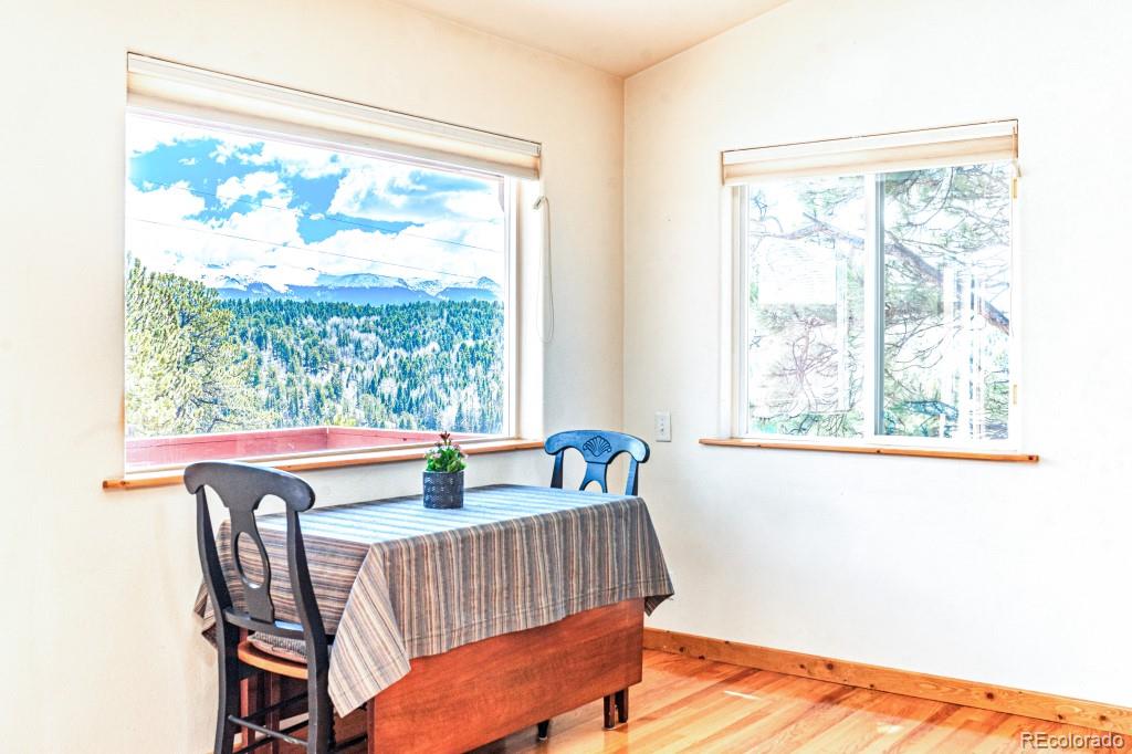 MLS Image #8 for 355  maroon lake circle,divide, Colorado
