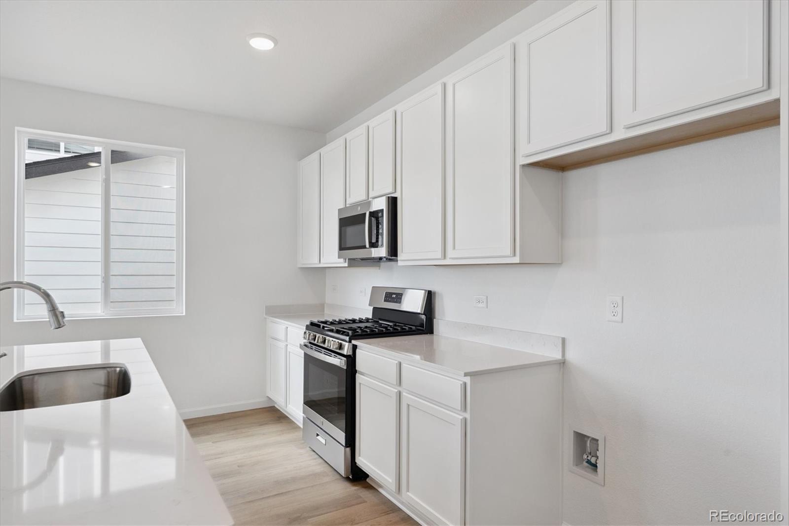 MLS Image #3 for 6170  amerifax drive,windsor, Colorado