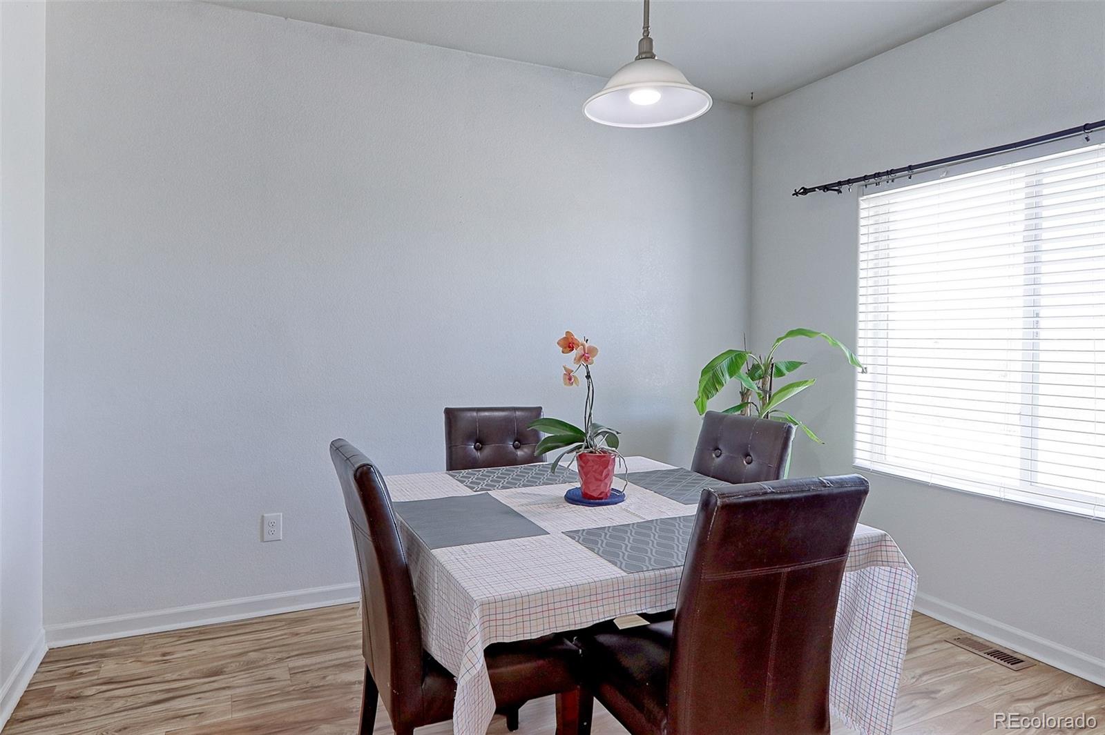 MLS Image #7 for 5681  legacy parkway,dacono, Colorado