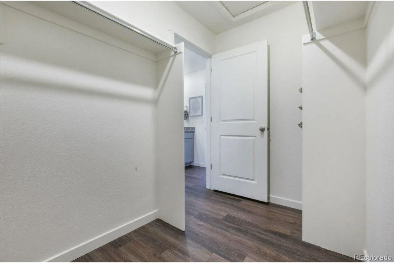 MLS Image #11 for 4991  buelingo drive,windsor, Colorado