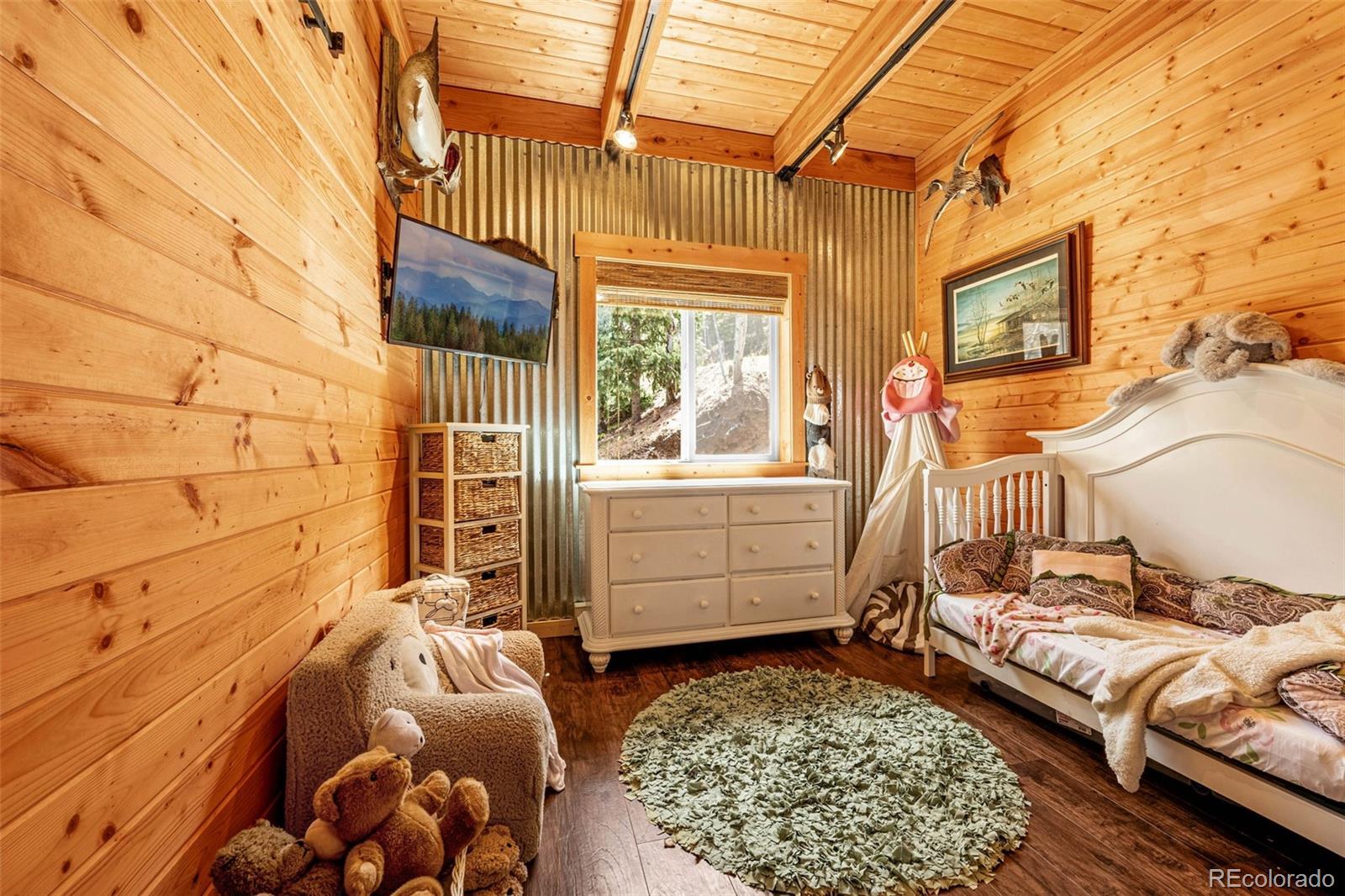 MLS Image #14 for 325  willow road,divide, Colorado