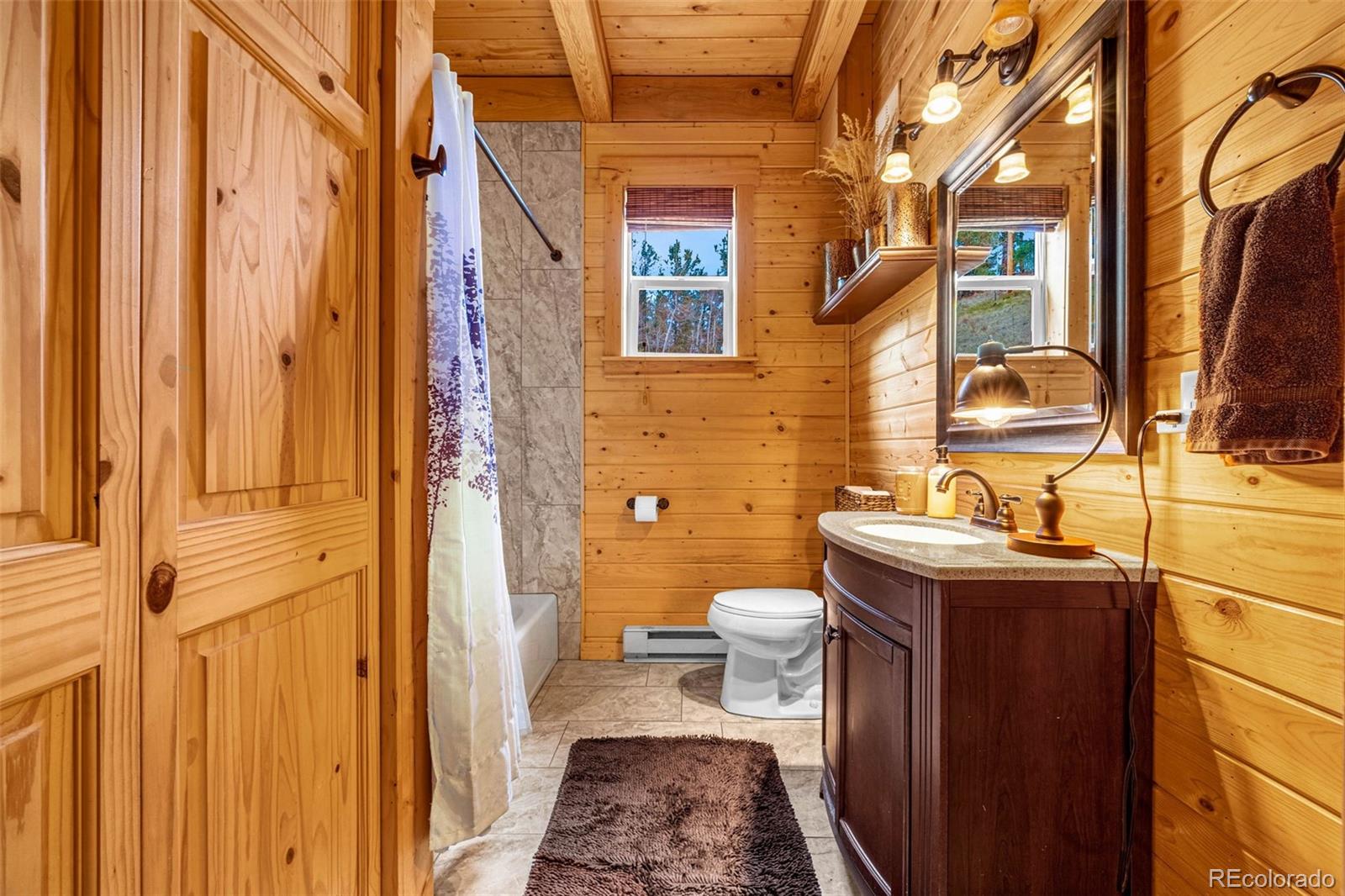 MLS Image #15 for 325  willow road,divide, Colorado
