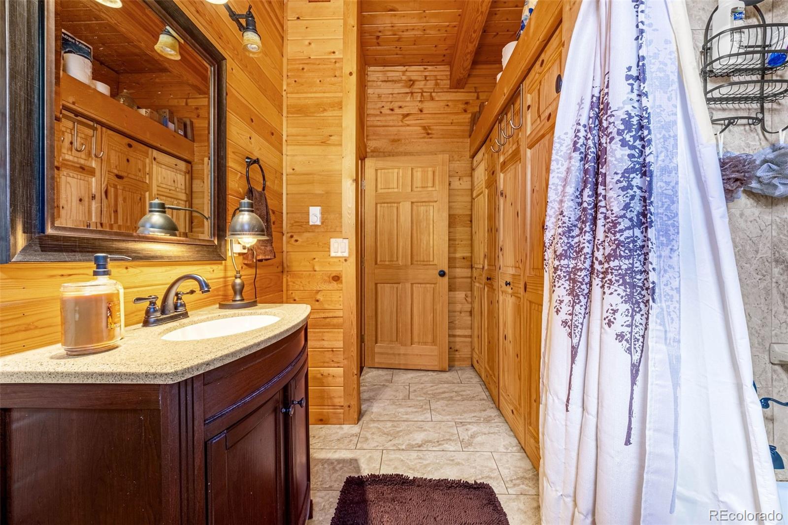 MLS Image #16 for 325  willow road,divide, Colorado