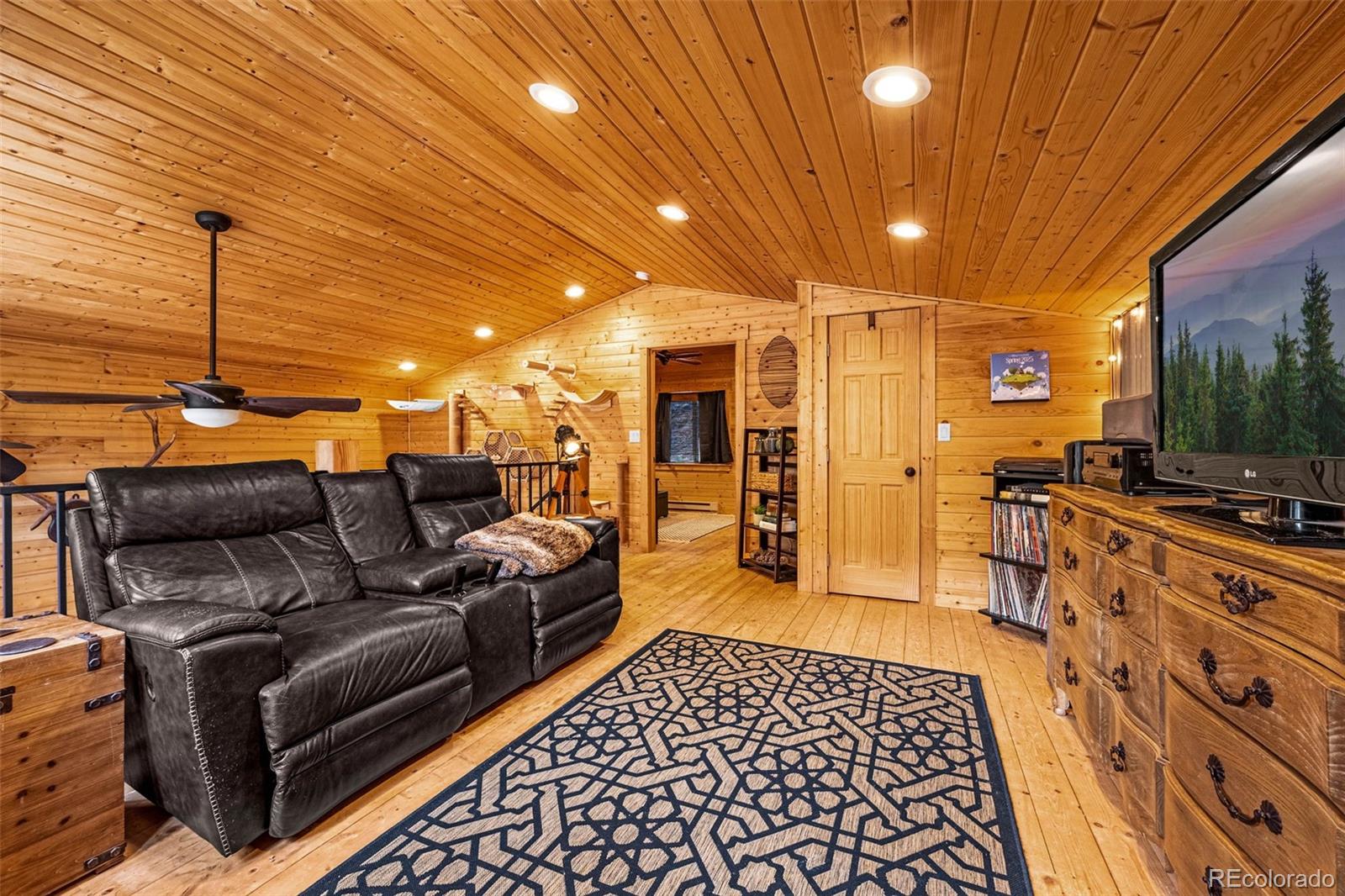 MLS Image #18 for 325  willow road,divide, Colorado