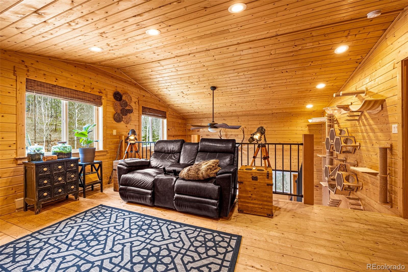 MLS Image #19 for 325  willow road,divide, Colorado