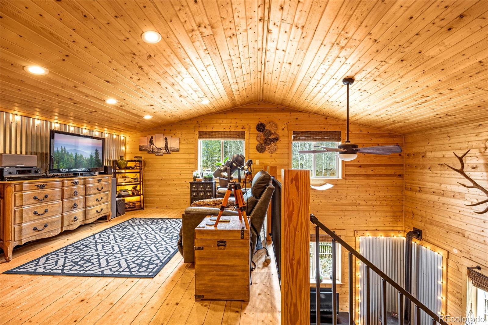 MLS Image #20 for 325  willow road,divide, Colorado
