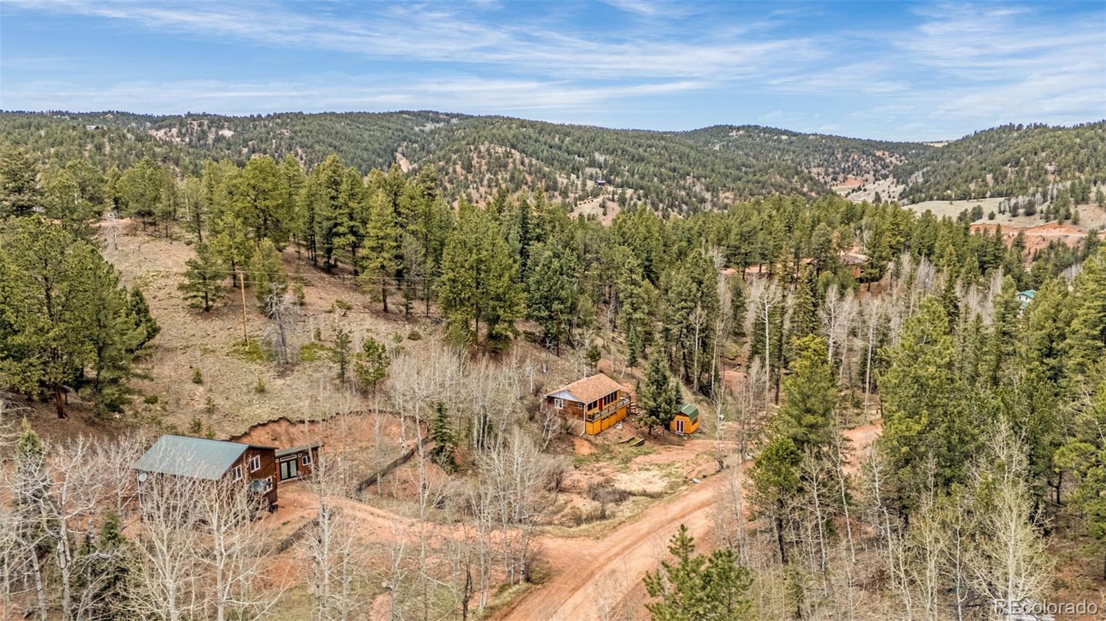 MLS Image #4 for 325  willow road,divide, Colorado