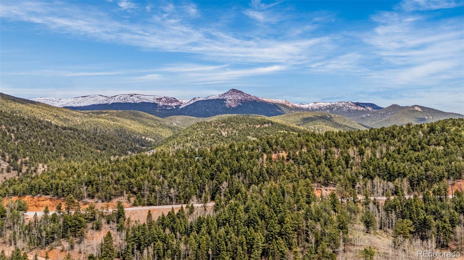 MLS Image #6 for 325  willow road,divide, Colorado