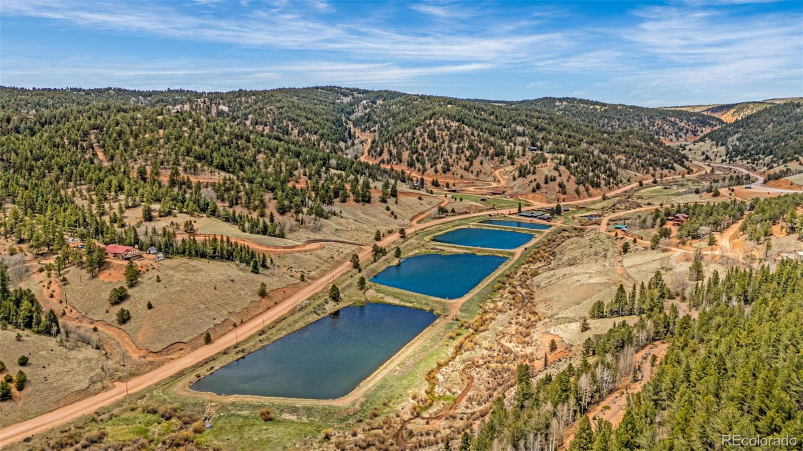 MLS Image #7 for 325  willow road,divide, Colorado