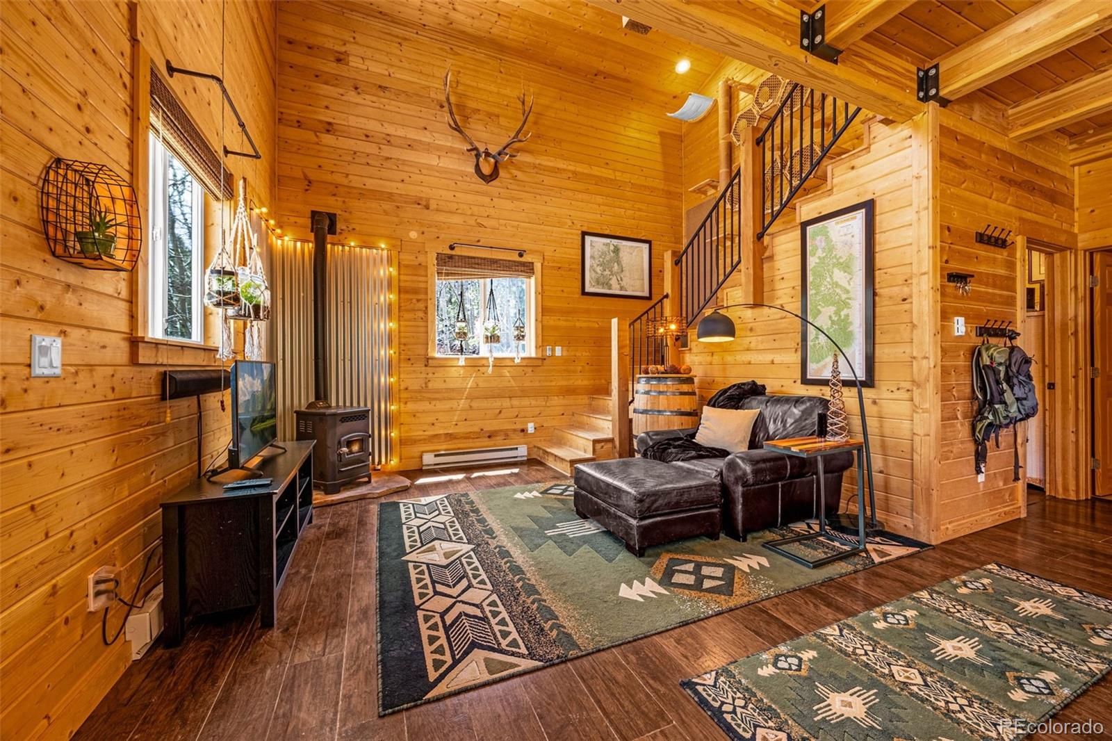 MLS Image #8 for 325  willow road,divide, Colorado