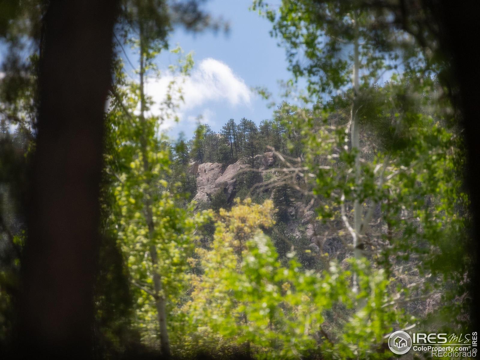 MLS Image #28 for 1035  rosehill drive,boulder, Colorado