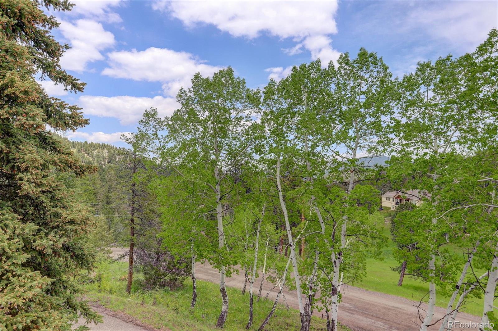 MLS Image #43 for 31150  manitoba drive,evergreen, Colorado