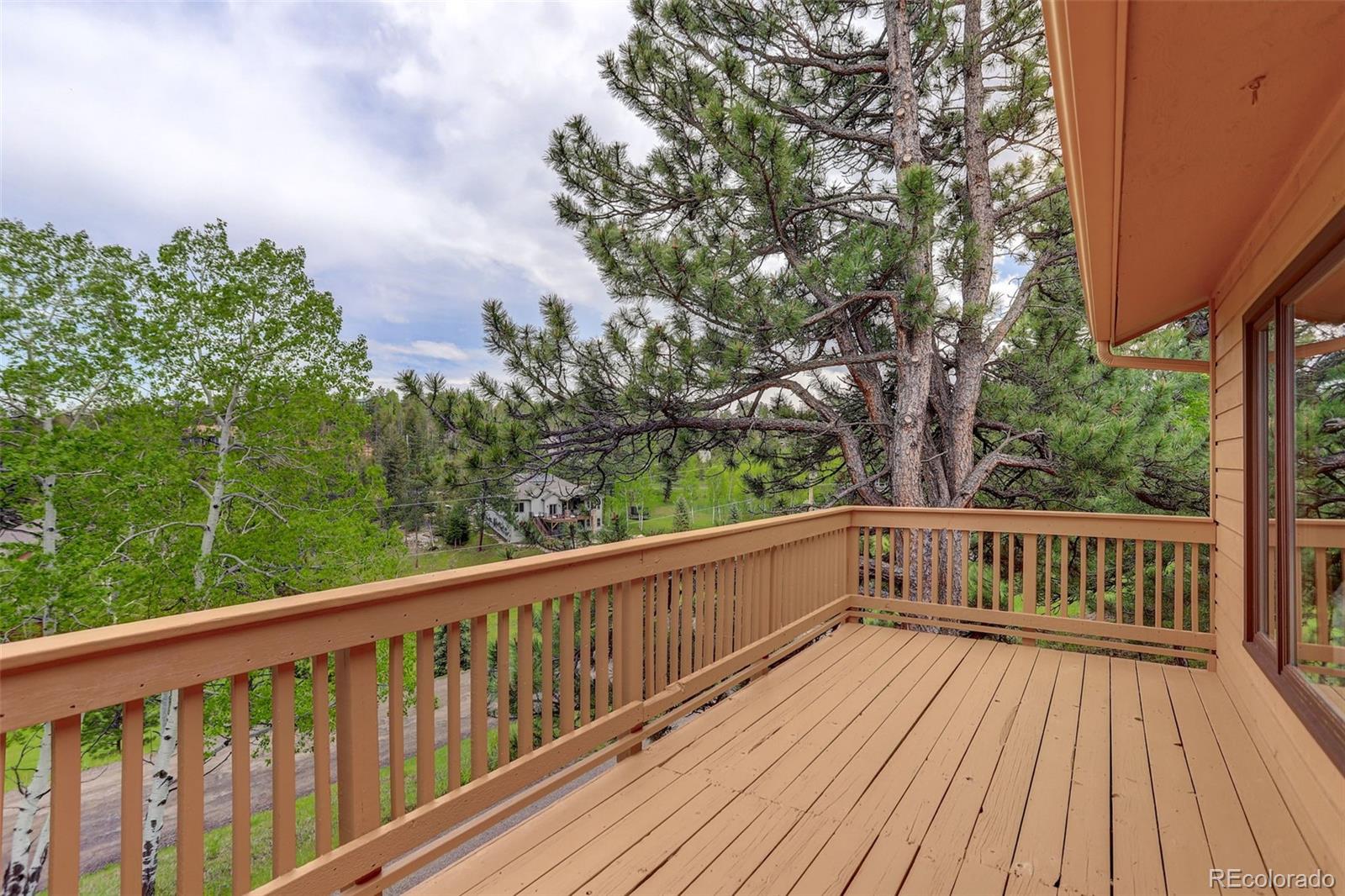 MLS Image #6 for 31150  manitoba drive,evergreen, Colorado