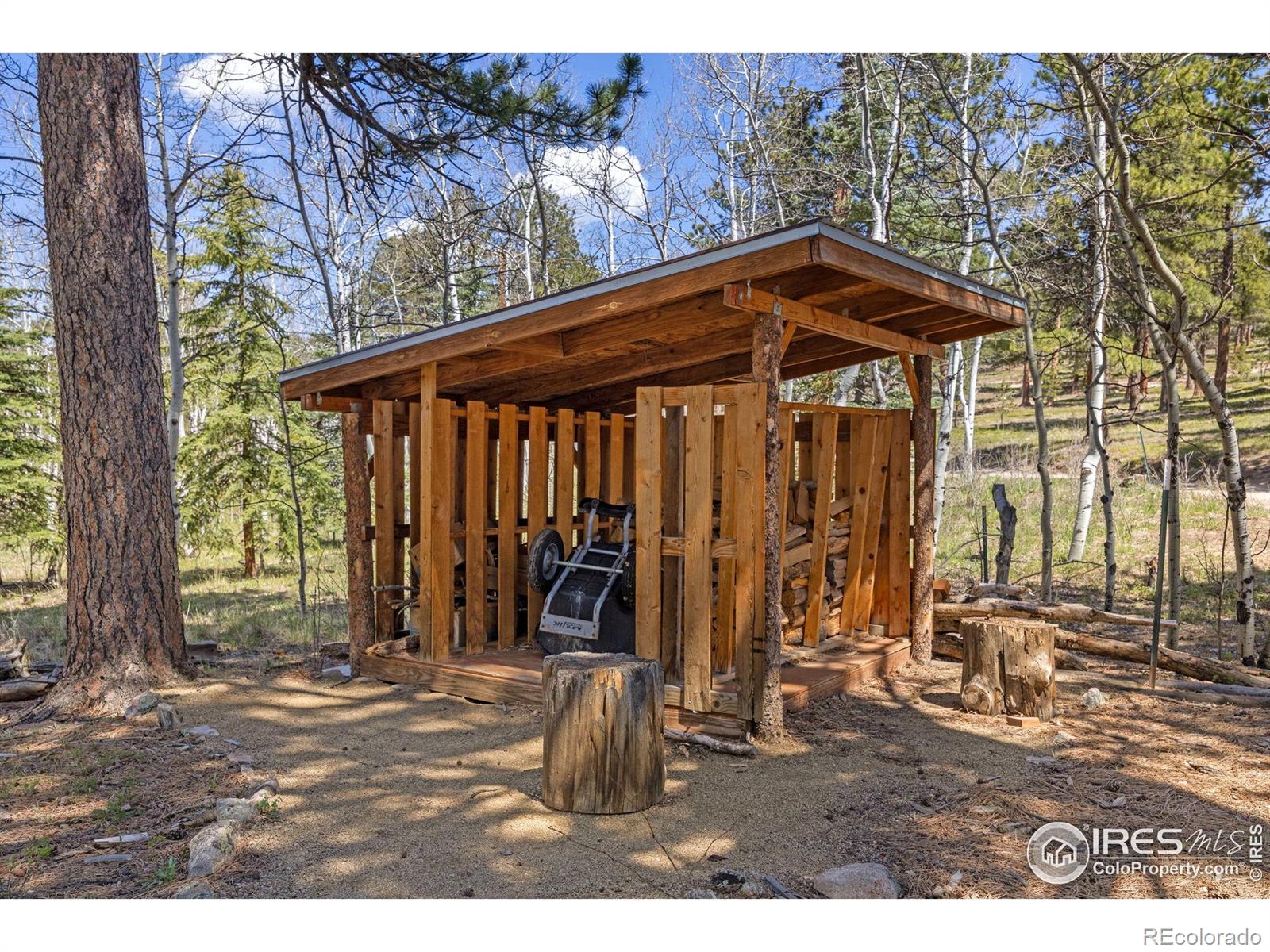 MLS Image #19 for 3497  coal creek canyon drive,pinecliffe, Colorado